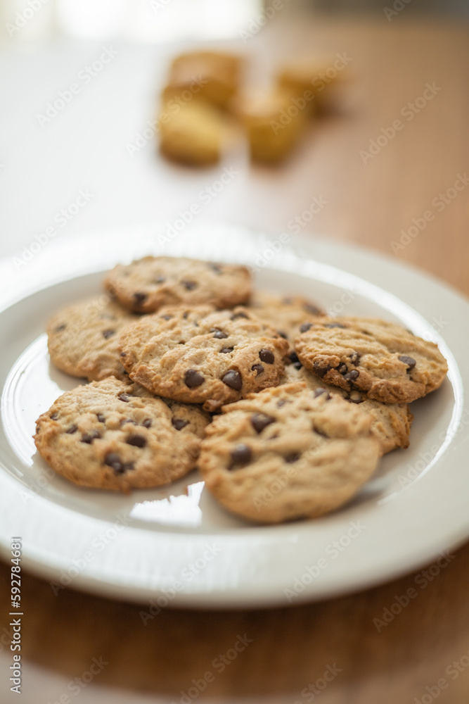 plate served with delicious homemade cookies decorated with chocolate chips, pastry in studio, sweet carbohydrate texture details plate served with delicious homemade cookies decorated with chocolate chips, pastry in studio, sweet carbohydrate texture details