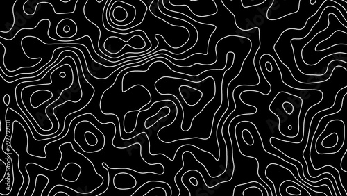 Fractal lines background. Topographic map like abstract backdrop
