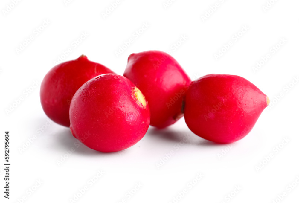Fresh radish isolated on white background Fresh radish isolated on white background