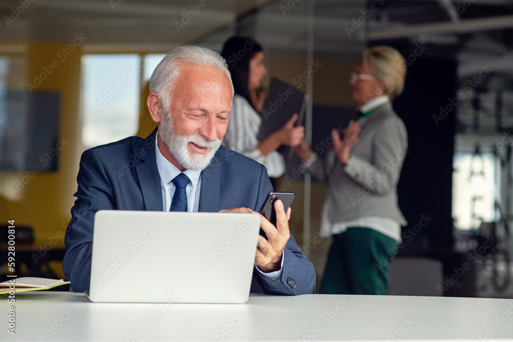 Fototapeta premium Mature businessman working on laptop. Handsome mature business leader sitting in a modern office
