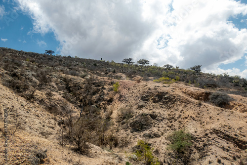 View of the desert valley from the top of the mountain.