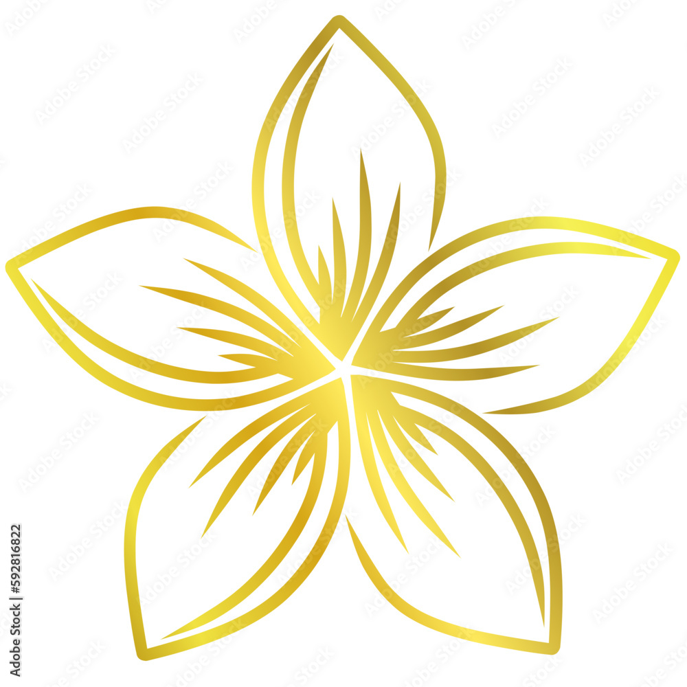 Plumeria flower line art style illustration with gold color Plumeria flower line art style illustration with gold color