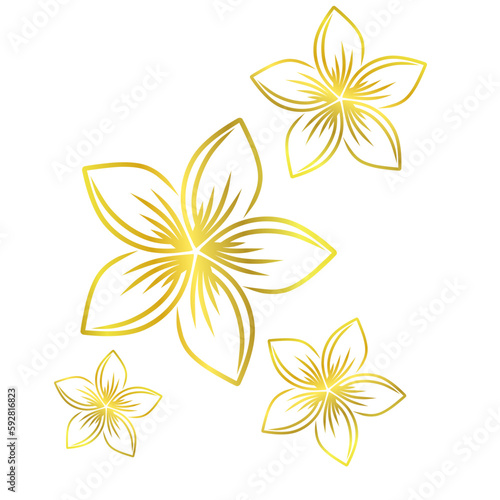 Plumeria flower line art style illustration with gold color