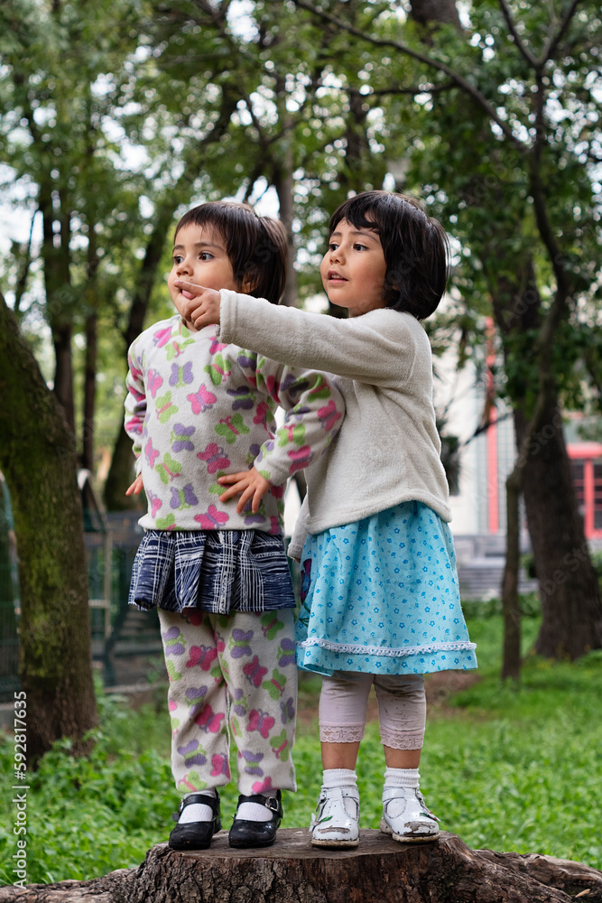 A couple of little young mexican girls looking amazed and pointing finger on a park. Vertical shot A couple of little young mexican girls looking amazed and pointing finger on a park. Vertical shot