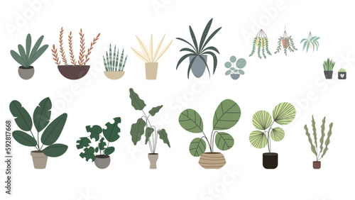 Plant House purify the air in the house on white pots in the house., isolated on white  background,  Vector Illustration EPS 10