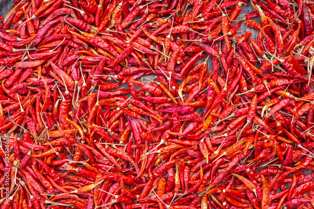 Fototapeta premium Dry hot chillis background.Stack of red dry chili it the one most flavoring spicy herb of ingredients Thai food.