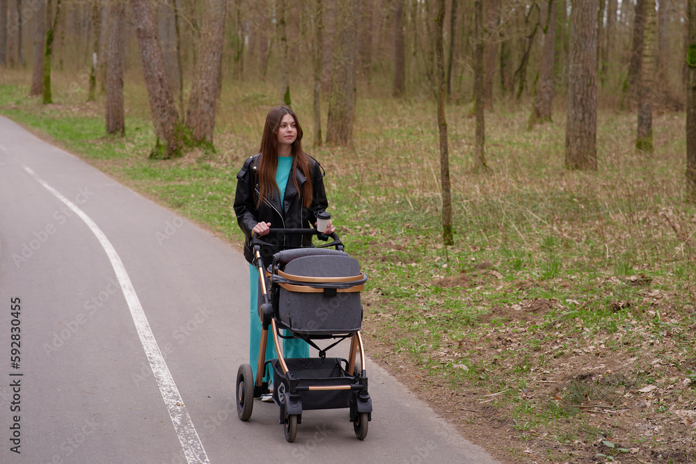 family, child and parenthood concept - happy mother with stroller in park family, child and parenthood concept - happy mother with stroller in park
