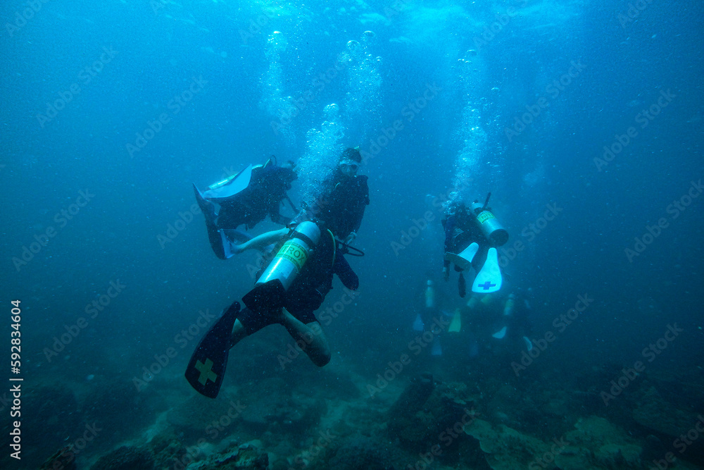 Scuba Divers, silhouettes against sunburst, in the ocean beside coral reef Scuba Divers, silhouettes against sunburst, in the ocean beside coral reef