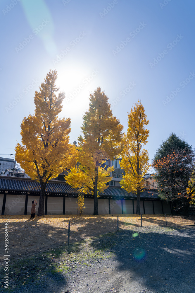 京都　東本願寺