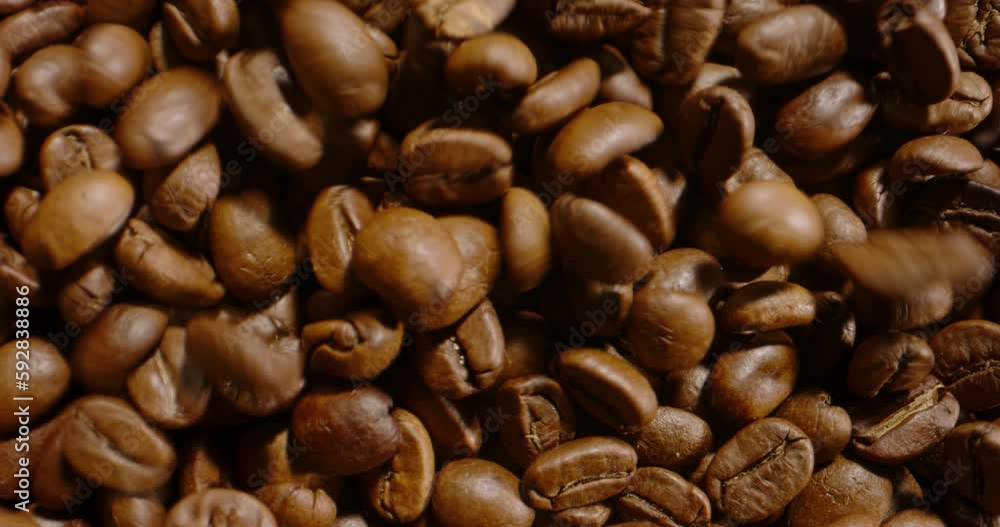 Concept of tasty aroma grinding grain for instant coffee, sort selec Concept of tasty aroma grinding grain for instant coffee, sort selec