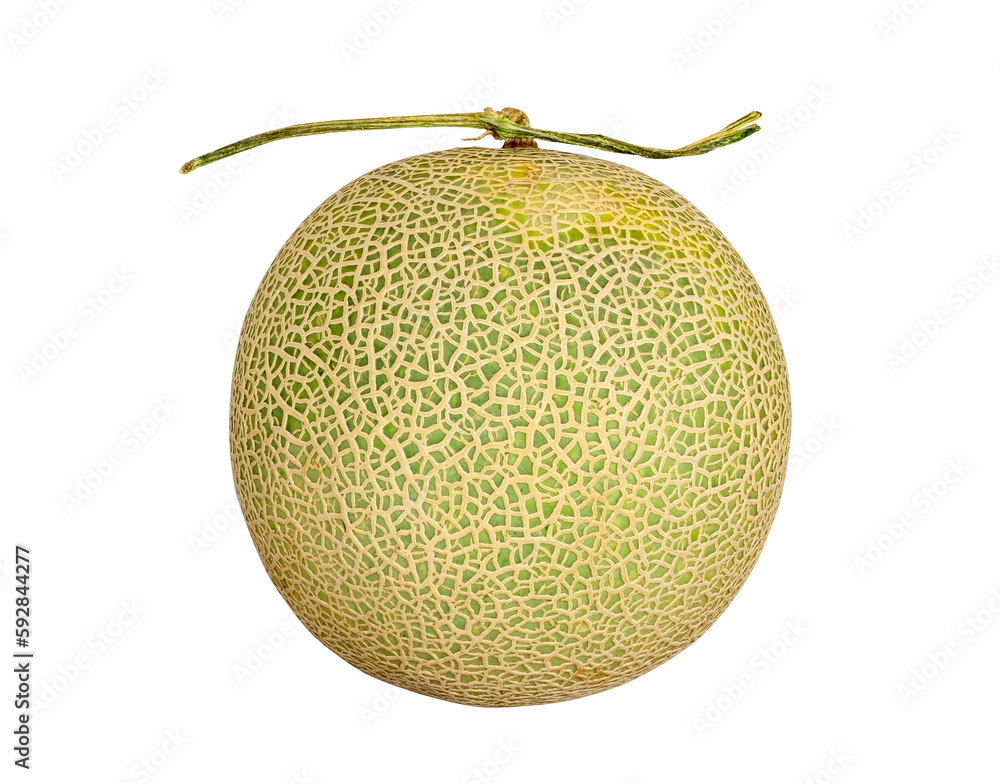 Rip Sweet Green japan melons isolated on transparent background, Melon or cantaloupe PNG File Rip Sweet Green japan melons isolated on transparent background, Melon or cantaloupe PNG File