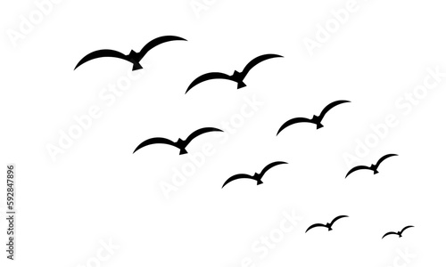 Group of black birds flying © AlbertBS