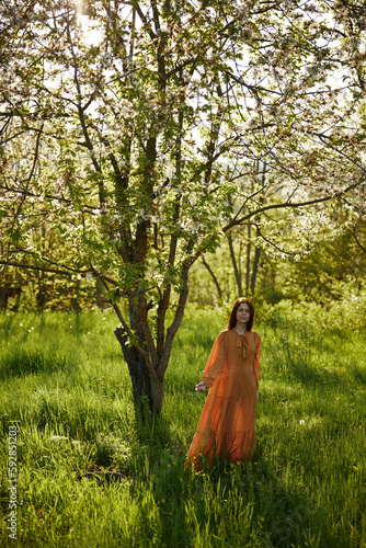 a beautiful, joyful woman stands in a long orange dress, in the countryside, near a tree blooming with white flowers, during sunset, illuminated from behind and looks into the camera © VICHIZH