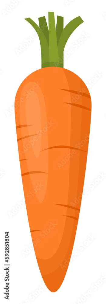 Carrot vegetable vector illustration concept template Carrot vegetable vector illustration concept template