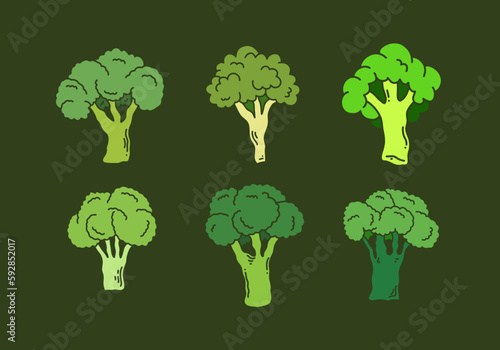 Green color of broccoli set design