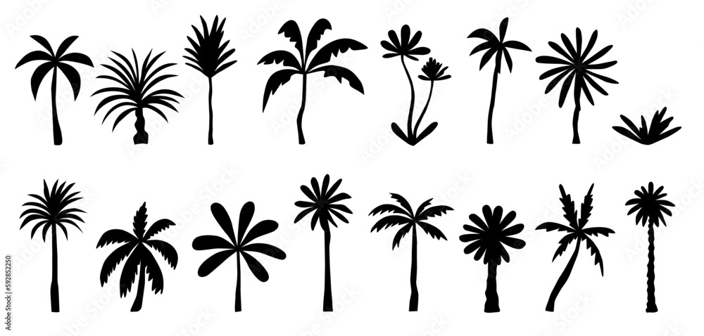 Vector set of tropical palm and tree silhouettes. Black on white background. Doodle illustration Vector set of tropical palm and tree silhouettes. Black on white background. Doodle illustration