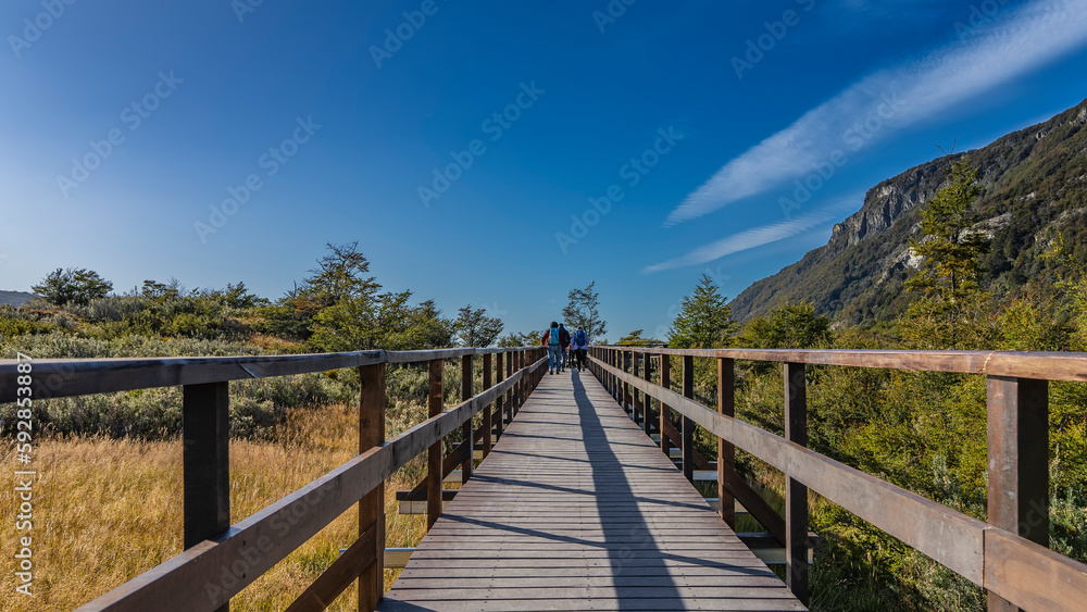 A boardwalk with a railing runs through the territory of the Tierra del Fuego National Park. On the sides - a meadow with yellowed grass, trees. A mountain against a blue sky. Argentina