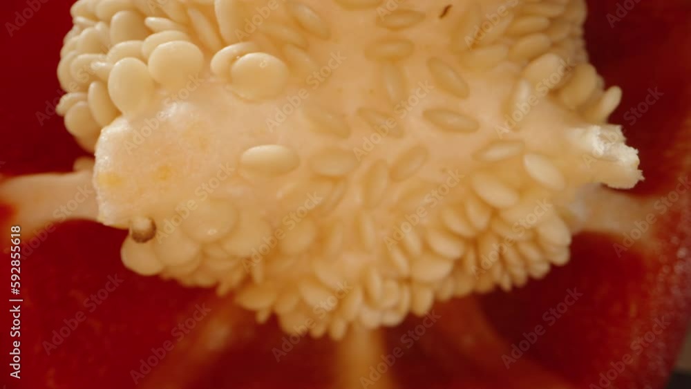 Cut red bell pepper into rings. The camera moves through the pepper. Dolly slider extreme close-up. Cut red bell pepper into rings. The camera moves through the pepper. Dolly slider extreme close-up.