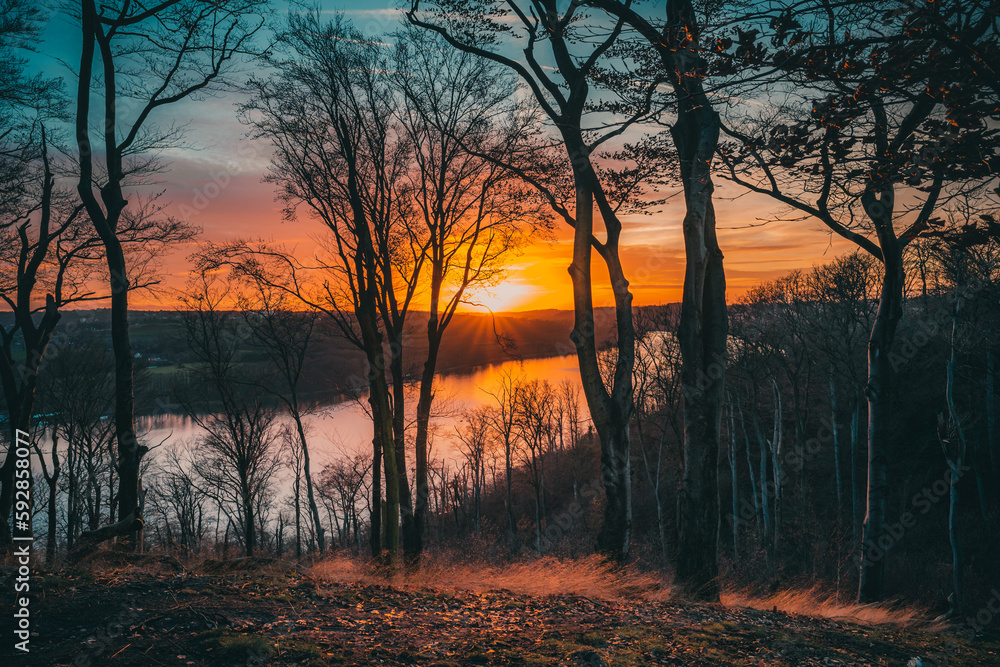 Epischer Sonnenuntergang im Wald am See