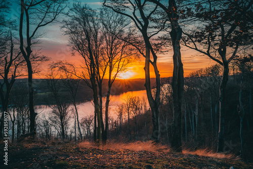 Epischer Sonnenuntergang im Wald am See