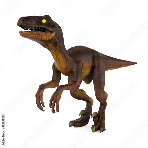 Velociraptor Dinosaurs Isolated © nerthuz