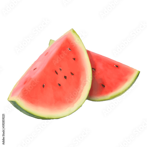 watermelon slice with style hand drawn digital painting illustration