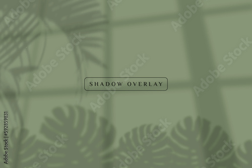green wall with shadow overlay