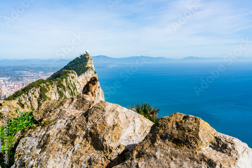 View of the Rock of Gibraltar and Spain across Bay of Gibraltar from the Upper Rock. UK