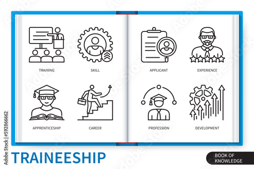Traineeship infographics elements set. Profession, apprenticeship, experience, skill, applicant, development, career, training. Web vector linear icons collection