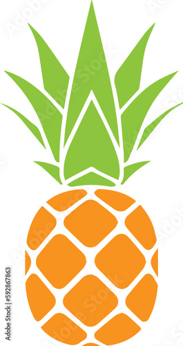 vector colorful pineapple fruit drawing designs