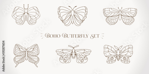 Moth Butterfly insect illustration set icon drawing element