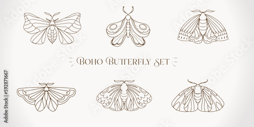 Moth Butterfly insect illustration set icon drawing element