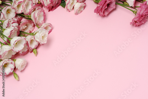 Fototapeta Naklejka Na Ścianę i Meble -  Frame of beautiful flowers