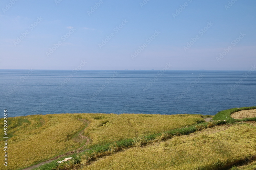 野津半島の風景、輪島・白米千枚田。海辺に広がる稲刈りの時期を迎えた棚田。