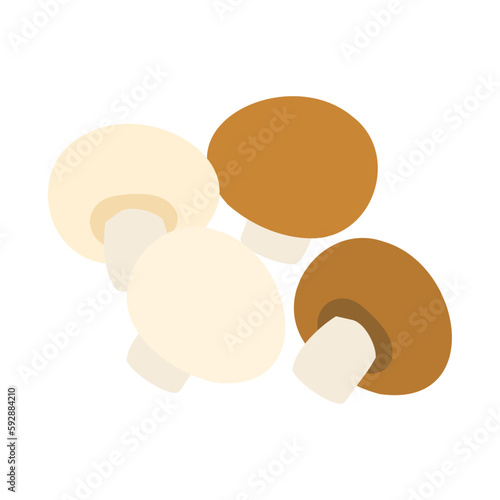 マッシュルーム（ツクリタケ）。フラットなベクターイラスト。
Common mushrooms. Flat designed vector illustration.