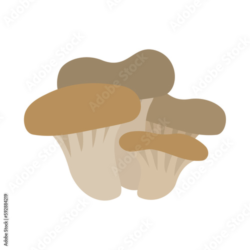 ヒラタケ（カンタケ、アワビタケ）。フラットなベクターイラスト。
Oyster mushrooms. Flat designed vector illustration.