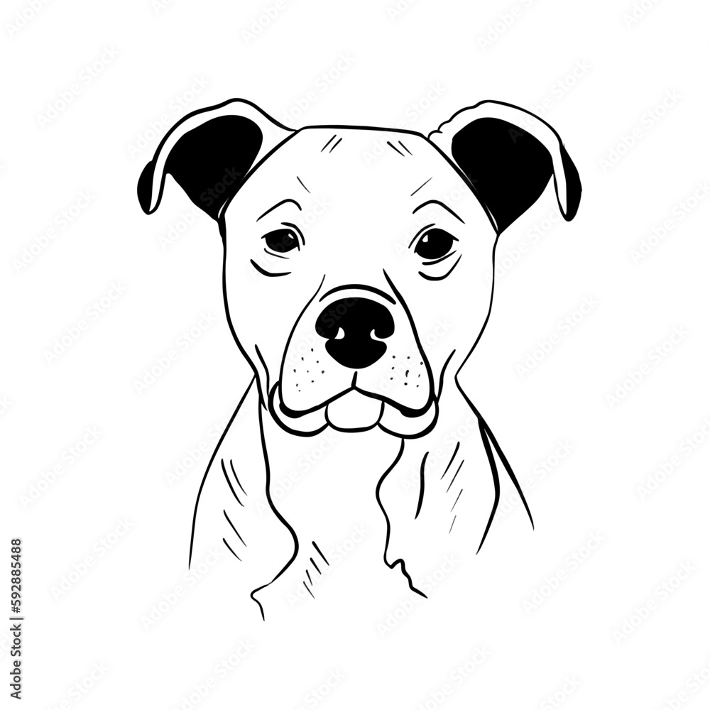 Vector sketch hand drawn pit bull silhouette, doodle style with black lines Vector sketch hand drawn pit bull silhouette, doodle style with black lines