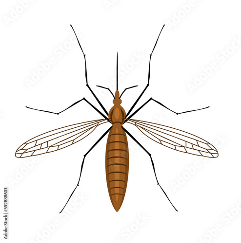 Mosquito vector illustration. Mosquito icon flat vector illustration for logo, web, app. Mosquitoesborne diseases - dengue fever, zika disease, yellow fever, chikungunya disease, filariasis, malaria