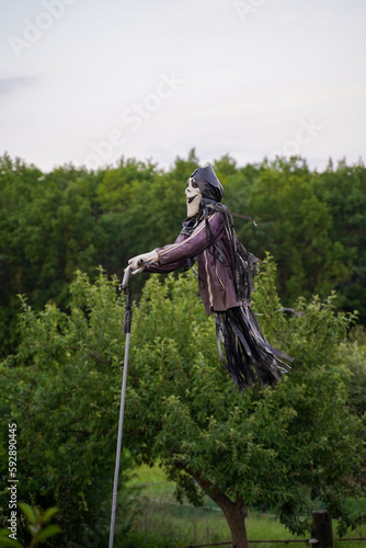 Scarecrow in the garden. Halloween holiday concept photo