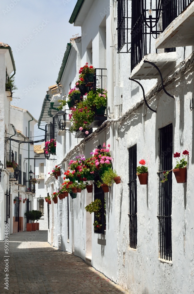 Fototapeta premium Calles con flores en el Barrio de la Villa, Priego de Cordoba
