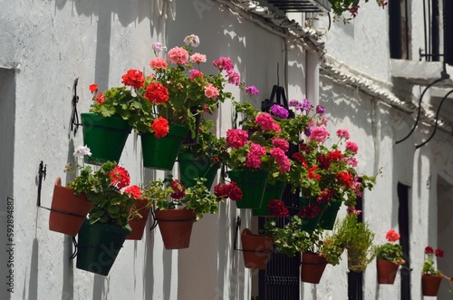Fototapeta Naklejka Na Ścianę i Meble -  Calles con flores en el Barrio de la Villa, Priego de Cordoba