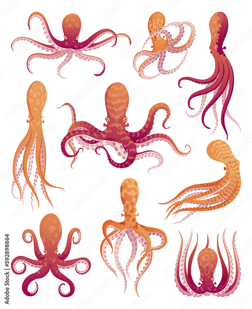 Octopus cartoon flat characters set. Aquatic fauna icons. Animals illustration for zoo ad, nature concept. Cute color octopuses, sea animals with tentacles