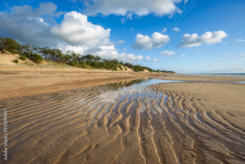 sand dunes on the beach