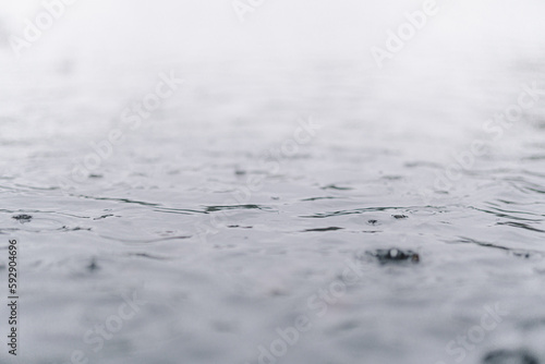 Puddle with Rain Falling - 水たまりに雨が落ちる (ID: 592904696)