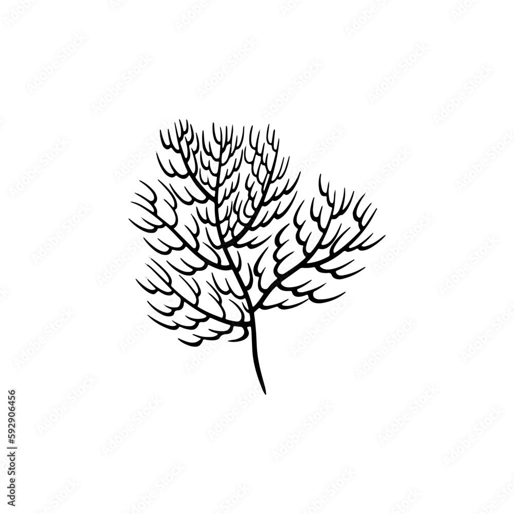 Naklejka premium Vector outline coral isolated on white background. Hand drawn illustration