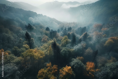 Aerial view of trees in foggy forest as landscape background. Generative AI