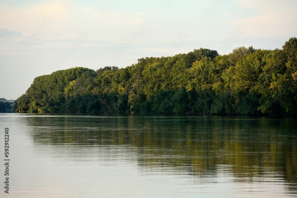 Beautiful view of the Danube river lined with dense trees