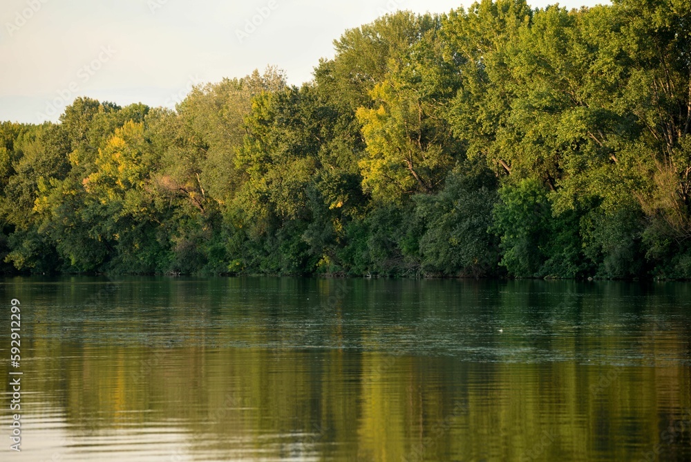 Beautiful natural landscape of the Danube river with a reflection of trees Beautiful natural landscape of the Danube river with a reflection of trees