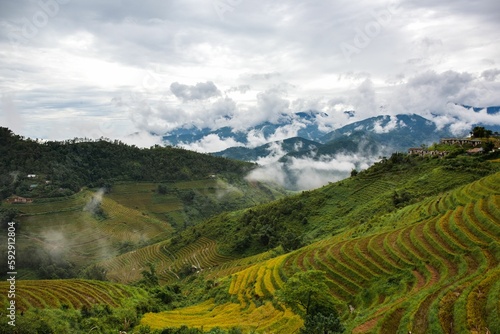 Beautiful view of clouds slowly rising in the morning in the mountains of Vietnam highlands © Ben Lee/Wirestock Creators