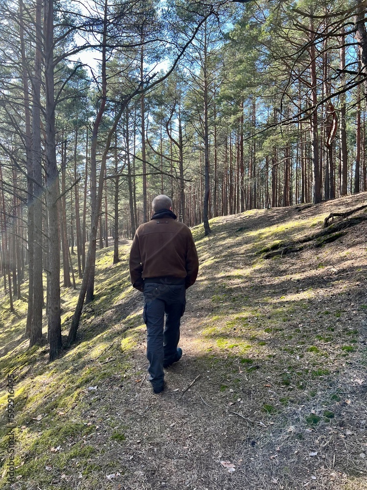 Obraz premium walking in the woods